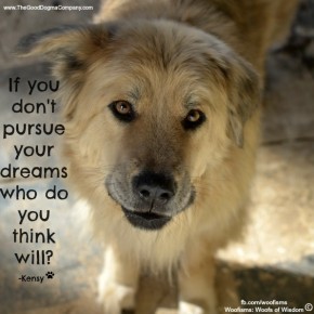 dreamsDSC0926 290x290 Woofisms: Woofs of Wisdom© funny dog blog