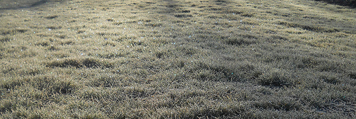 rainbow lights in frost