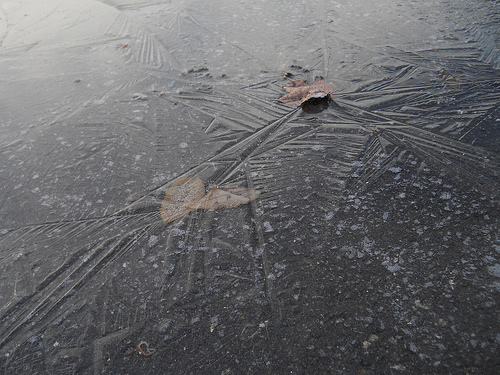 ice spiderweb