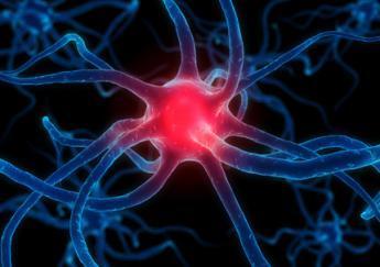 brain-cell