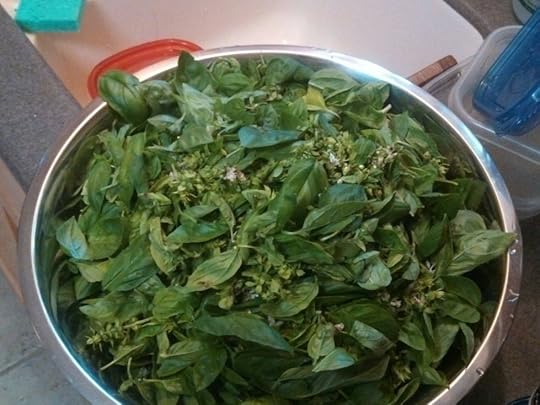 1077210_10201796146890264_1449076357_o