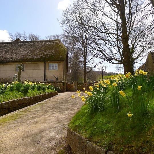 Churchyard 5