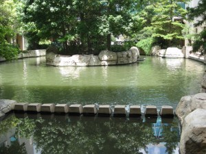 IMG_1697
