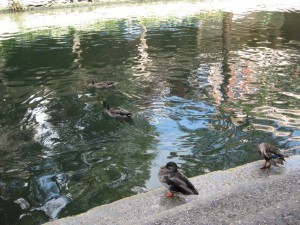 IMG_1702