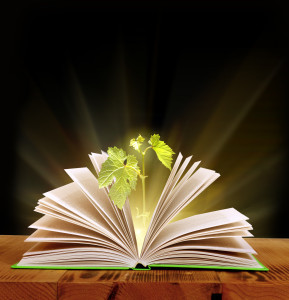 How to profit as a writer, an essay at christinenolfi.com by bestselling novelist Christine Nolfi.