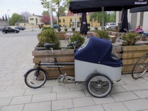 Bike with kids