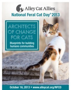 National_Feral_Cat_Day
