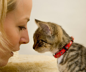 cat_lady
