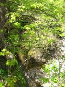 falls