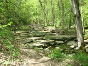 path-to-falls