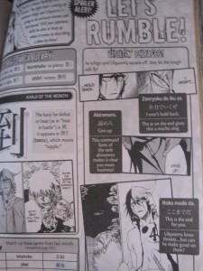 bleach color 009