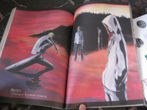 bleach color 008