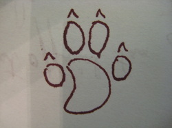 wolf paw design