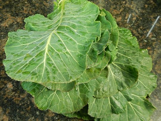 File:Collards.jpg