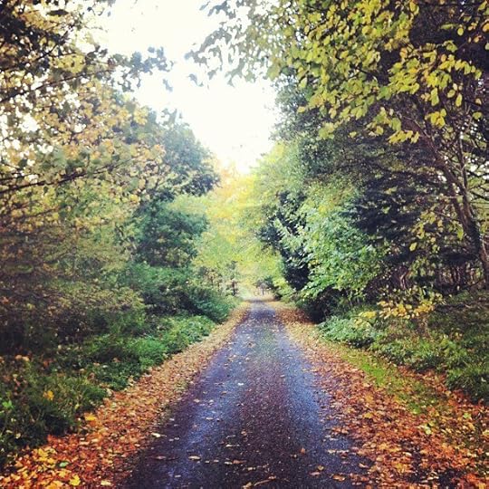 Click to visit the original post