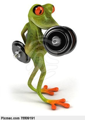 frog-animal-julos-one-only-pixmac-illustration-75509191