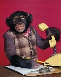 Click to visit the original post