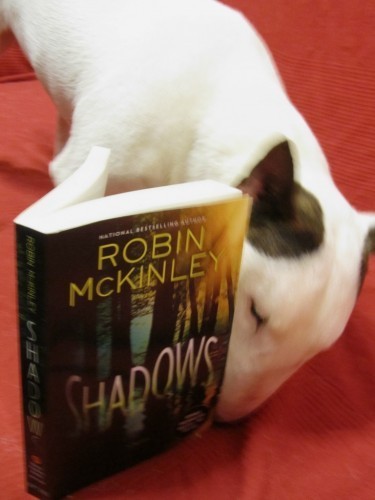 an dis iz wun tasty book
