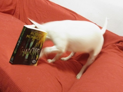 Finally a book I can be a part of