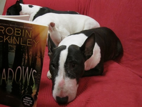 I wuffs this book LOTS