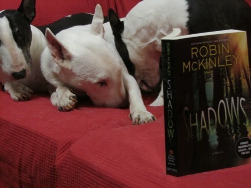 but sometimes I had to hide in the scary bits