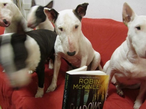 an not just ANY book club!
