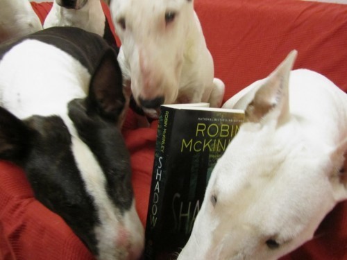We iz Robin McKinley fans who DEVOURS her books