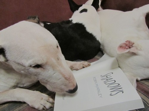 I haz had to wait til eberypawdy iz asleep so's I can read Shadows - please report dis abuse so I can getz my own copy to read!
