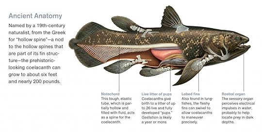 NGS Picture ID:1385126