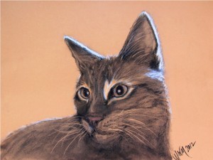 cat_portrait