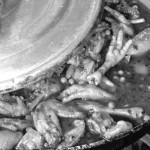 Chicken feet- dinner is served.