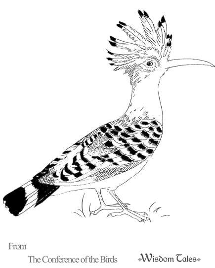 Hoopoe