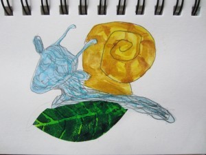 IMG_4198