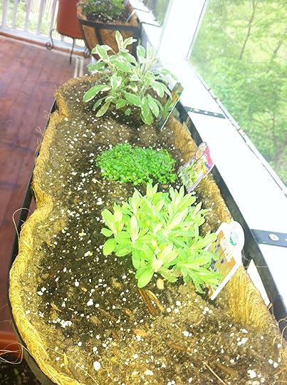 herbs2