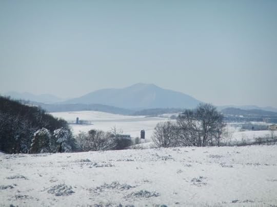 The view from the barn