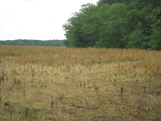 john martin place across fom