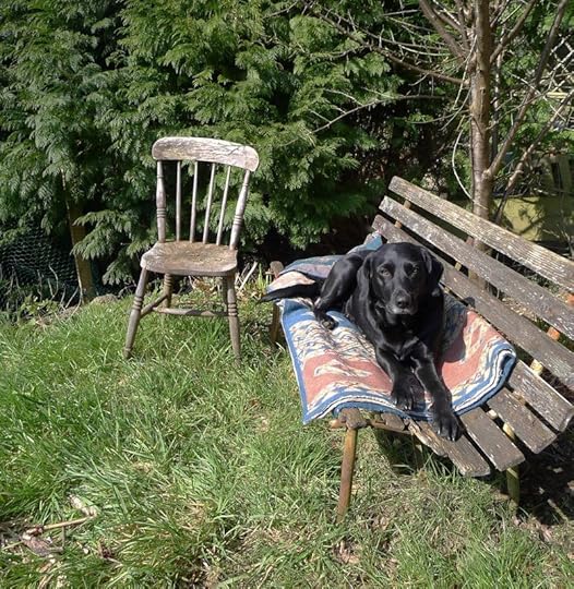 Studio Bench 2
