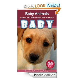 BABY Dog