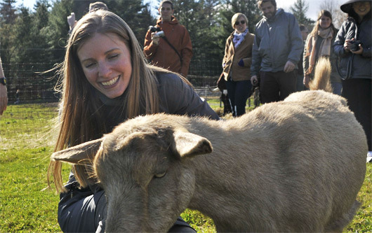 UDM0gRR0CqXIpWlstX0LLahd.jpeg:Amazon:photo