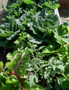 Screen shot 2013-07-09 at 10.40.54 AM