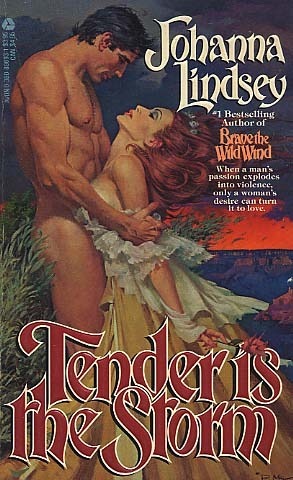 http://3.bp.blogspot.com/_gNfd48QhoL0/TFTCNoEO98I/AAAAAAAAMOQ/ss5LZj5_uI4/s1600/bodice_ripper_cover1.jpg