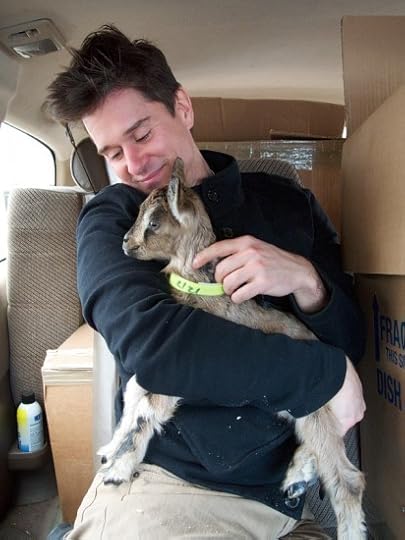 Faintly wee little goat baby