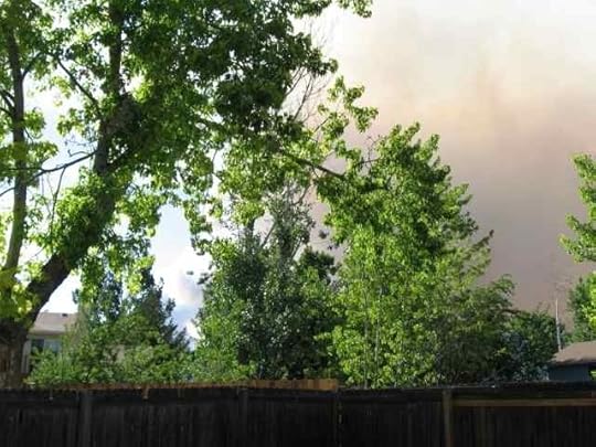 Fire-Sun17-440p_7969