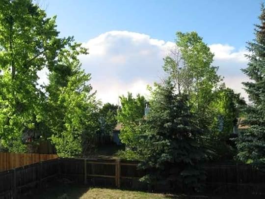 Fire-Satpm-550p_7803