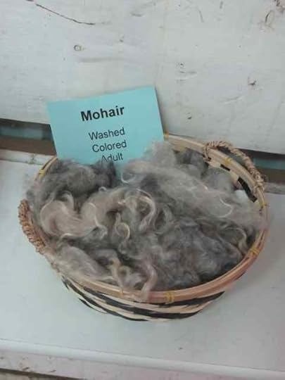 Mohair_0244