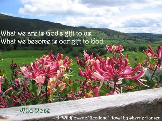 Wild_Rose_-_saying