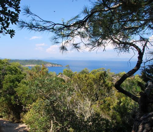 Port-Cros island off the south coast of France (c) Kristin Espinasse
