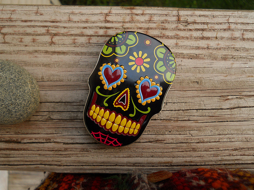 beautiful skull