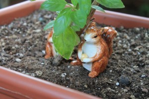 Hide in the Basil