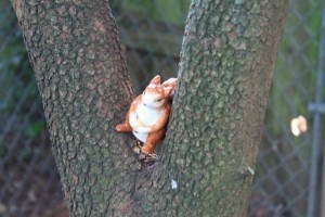 Climbing